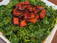 碧绿圈子-长兴菜馆(高桥店)