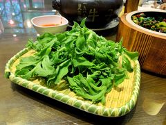 -福照楼汽锅鸡·云南菜(护国路店)