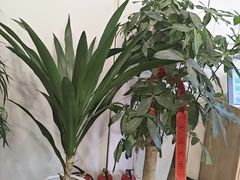 -艾柏堂8090经络·艾灸养生(御庭府邸店)