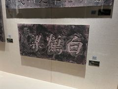 -白鹤梁水下博物馆