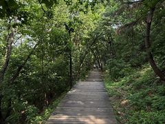 -帽儿山国家森林公园