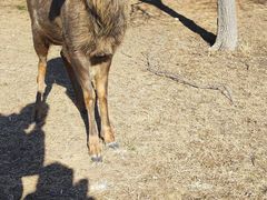 -好利来(桃源店)