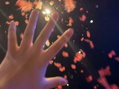 -金逸影城(大悦城IMAX激光店)