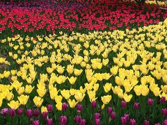 -长春公园(普阳街道)