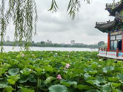 -济南大明湖景区