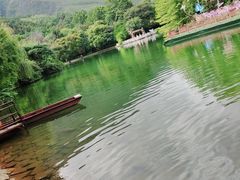 -蝴蝶泉公园