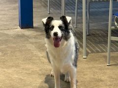 -HALO SOUL COFFEE·咖啡·甜品·简餐(嘉年华海信广场店)