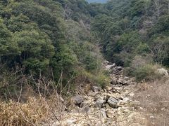 -北仑森林植物园