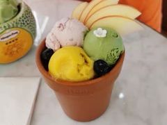 -哈根达斯(皇城恒隆广场店)