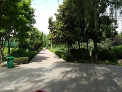 -洛阳市隋唐城遗址植物园