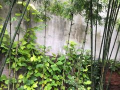-瓦洛洛传统市场