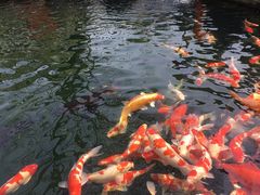 -湖鲜楼