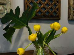 -蓝壁虎咖啡酒馆