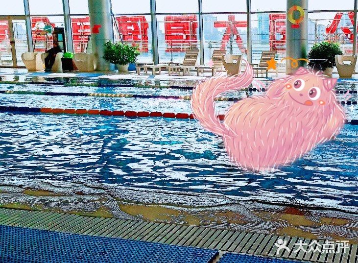 这个夏天学会游泳