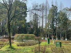 -花溪公园