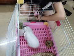 -龙猫仔乐园(惠福东路店)