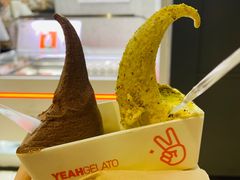 -野人先生现做冰淇淋(北京环宇荟店)