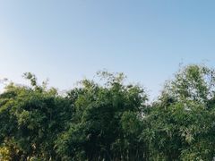 -上海山野camping·户外天幕烧烤·团建拓展营地