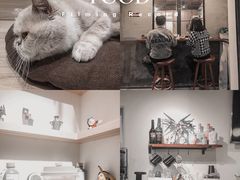 -Double cafe