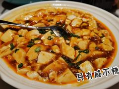 麻婆豆腐-荷塘秋月·本帮江浙菜(国权路店)