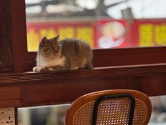 -LOOKA COFFEE(大鹏所城店)