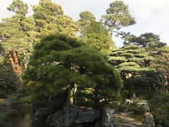 -京都御所
