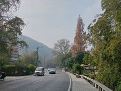 -她说户外烧烤团建(西湖店)