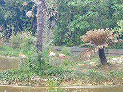 -杭州野生动物世界