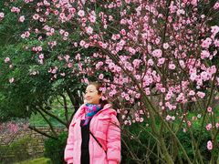 -铁山坪森林公园