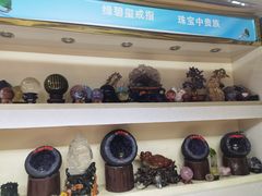 -花鸟鱼虫鲜花绿植市场(玉泉路店)