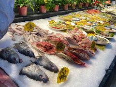 -驻海渔市(置信店)