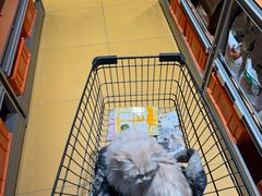 -MARSMART PETS火星宠物超市(1733店)