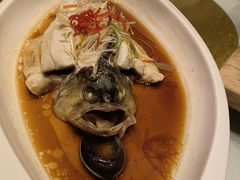 -华膳楼·安徽地标美食·中华餐饮名店(文化公园店)