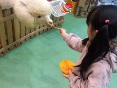 -藦茜花园宠物主题亲子互动体验馆(国顺东路店)