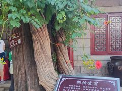 -青岛崂山太清宫