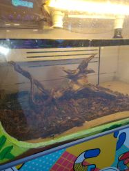 -萌宠亲子动物乐园(槐房万达店)