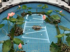 -海天一色海景自助餐厅(西港花园店)