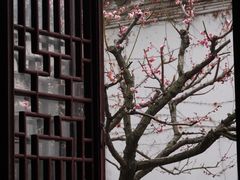 -沧浪亭