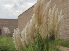 -盘龙城国家考古遗址公园