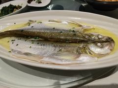 白水鱼-太湖饭店·寄畅轩中餐厅
