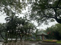 -荔湾湖公园