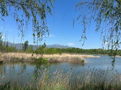 -野鸭湖国家湿地公园