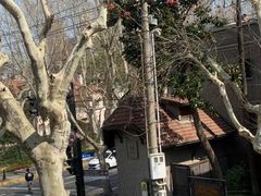 -星巴克臻选(思南公馆店)