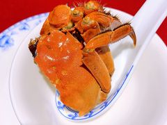 -老吉士酒家(天平路店)