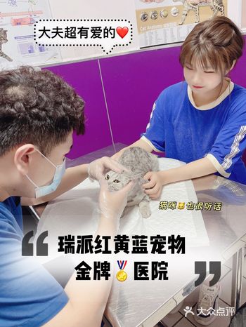 带小猫咪去超级有爱️的瑞派红黄蓝宠物医院体检啦！