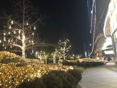 -杭州来福士中心