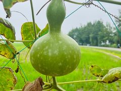 -中国天府农业博览园