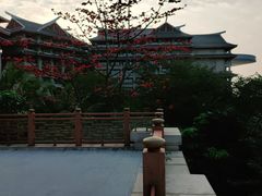 -海口万豪·大堂吧·望海吧.日落海景·下午茶·奶茶·咖啡·轻食·蛋糕·鸡尾酒·清吧