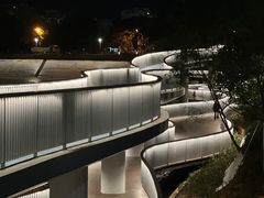 -银湖山郊野公园-相思林