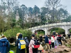 -重庆彩云湖湿地公园